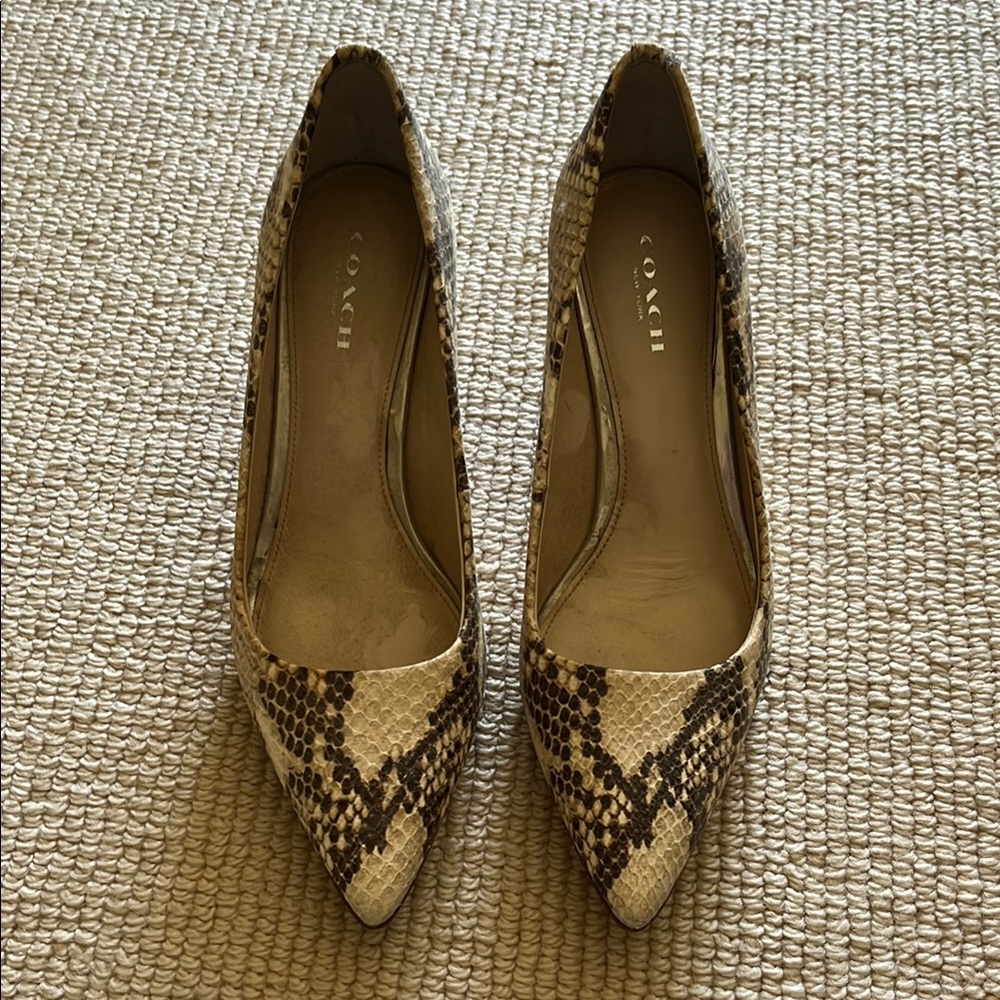 Coach Women's Snakeskin Pumps - Brown